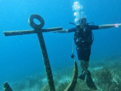 BUCEO 4